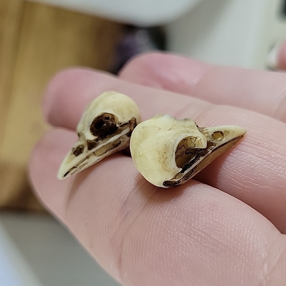 Realistic Bird Skull Stud Earrings - Picture 6 of 7